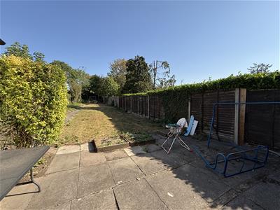 Picture 23